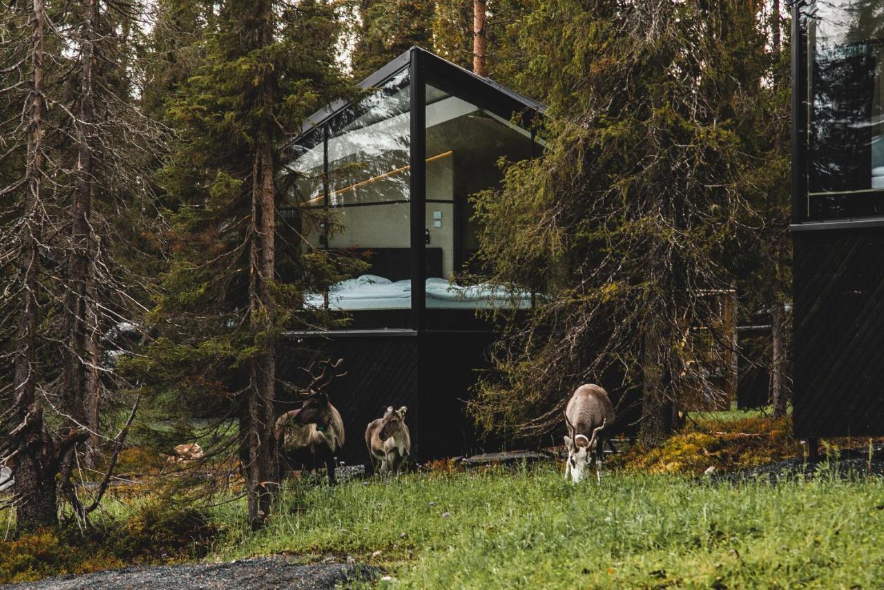 Magical Pond Nature Igloos Ruka Exteriér fotografie