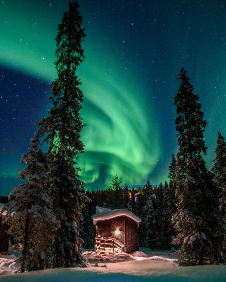 Magical Pond Nature Igloos Ruka Exteriér fotografie